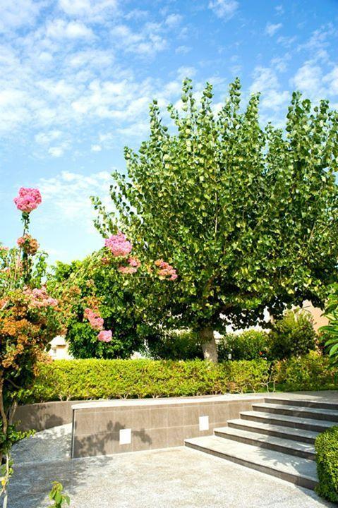 Alfa Hotel Apartments Gerani  Ngoại thất bức ảnh